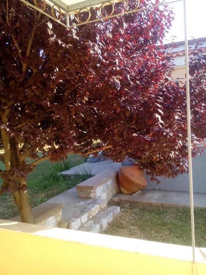 Studios Στουσ Πυργουσ Θερμησ Mytilíni Exterior foto